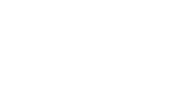 Logo Selective Professional